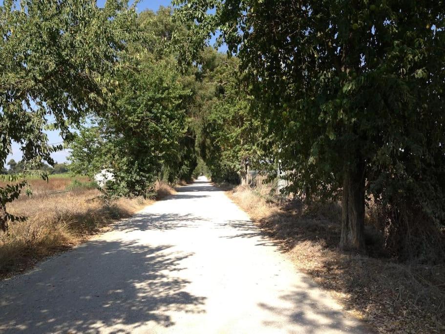 Private Under The Lemon Tree In Ostia Antica Villa Esterno foto