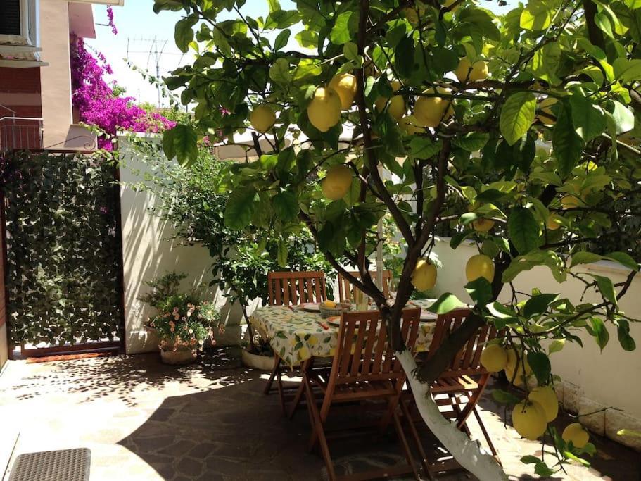 Private Under The Lemon Tree In Ostia Antica Villa Esterno foto